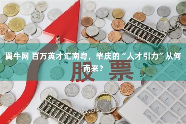 翼牛网 百万英才汇南粤，肇庆的“人才引力”从何而来？