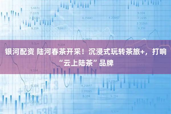 银河配资 陆河春茶开采!沉浸式玩转茶旅+,打响“云上陆茶”品牌
