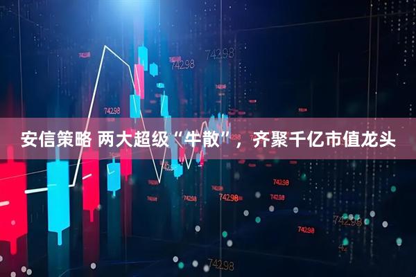 安信策略 两大超级“牛散”，齐聚千亿市值龙头