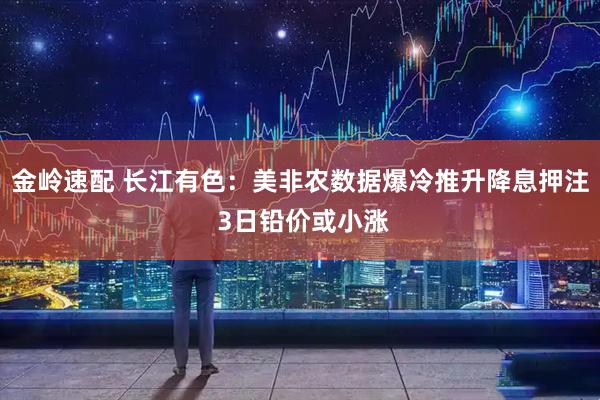 金岭速配 长江有色：美非农数据爆冷推升降息押注 3日铅价或小涨